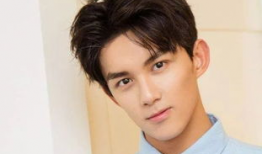 陈麻豆,探寻传统美食的传承与创新之路